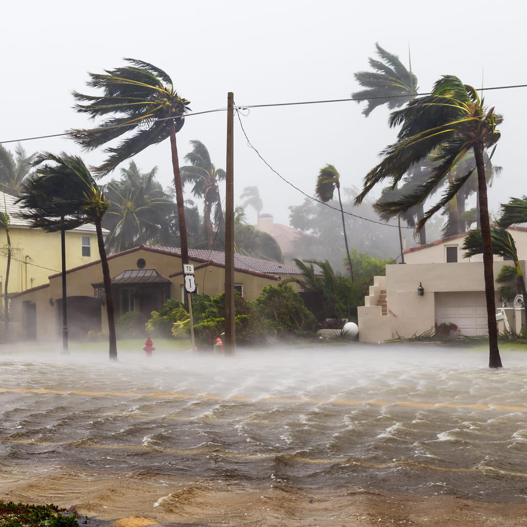 tropical storm