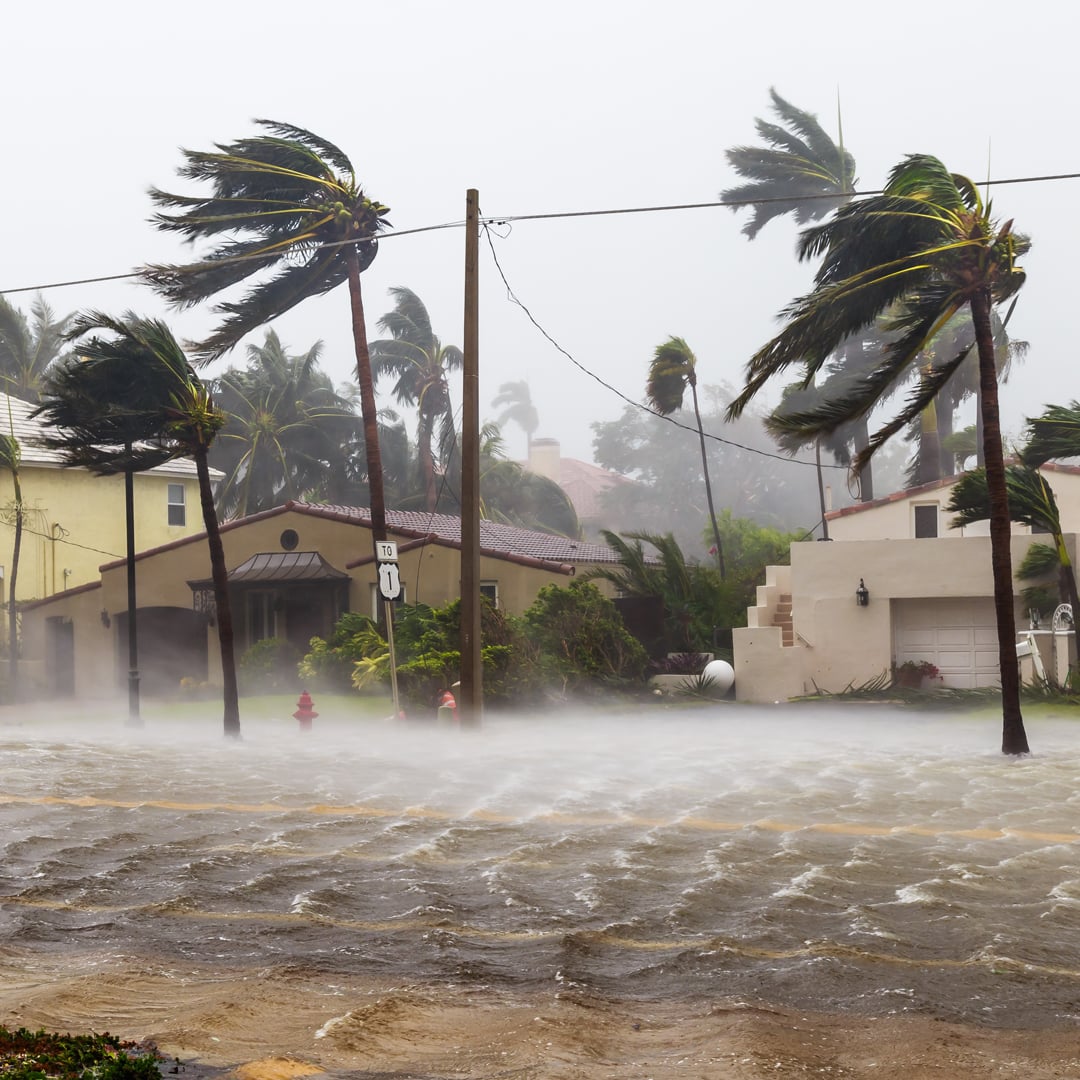 tropical storm